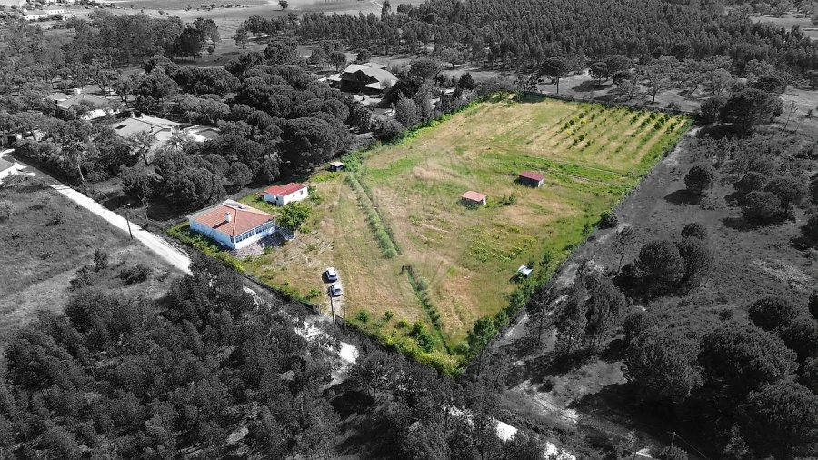 Moradia T2 para Venda em Branca