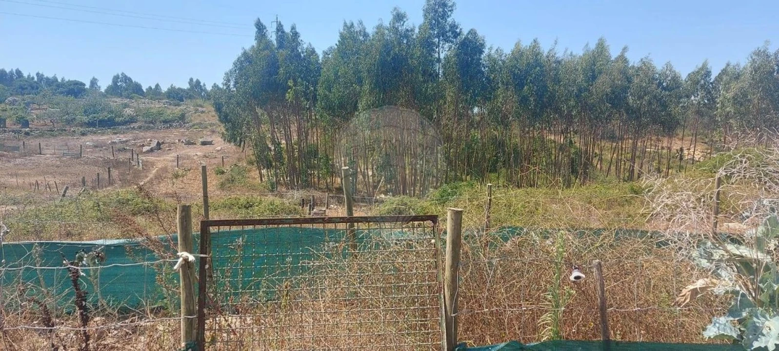 Terreno para Venda em Olho Marinho Foto 11