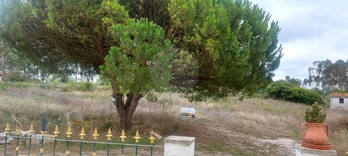 Terreno para Venda em Olho Marinho Foto 18