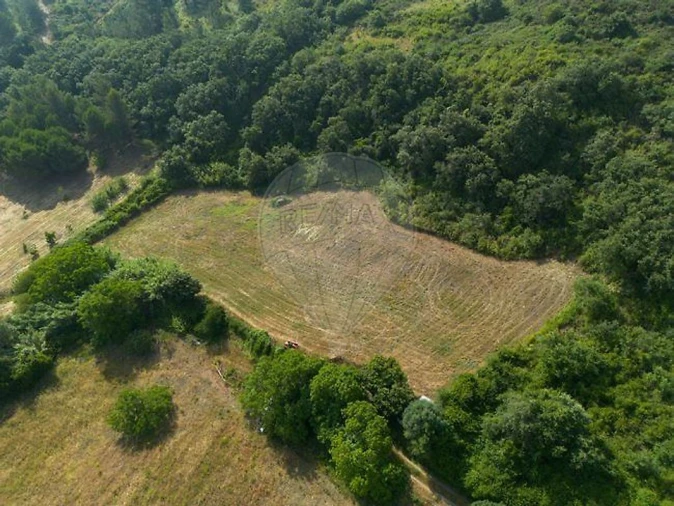 Terreno para Venda em Alhandra, São João dos Montes e Calhandriz Foto 2