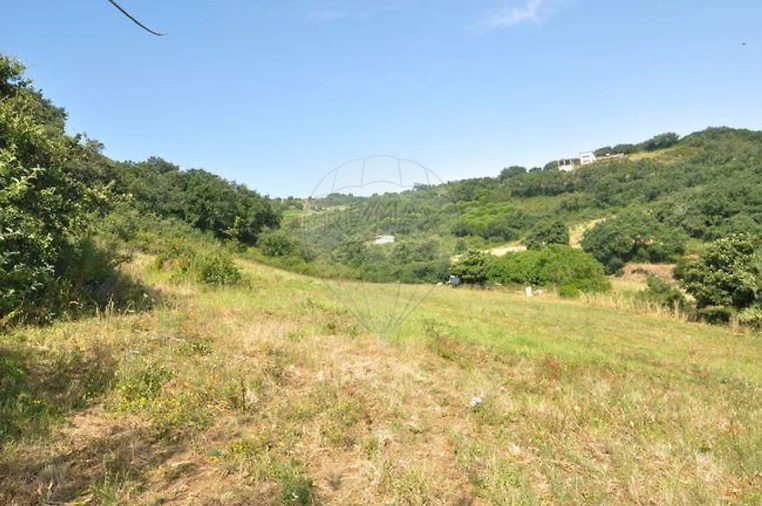 Terreno para Venda em Alhandra, São João dos Montes e Calhandriz Foto 4