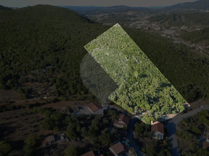 Terreno para Venda em São Miguel, Santa Eufémia e Rabaçal Foto 10