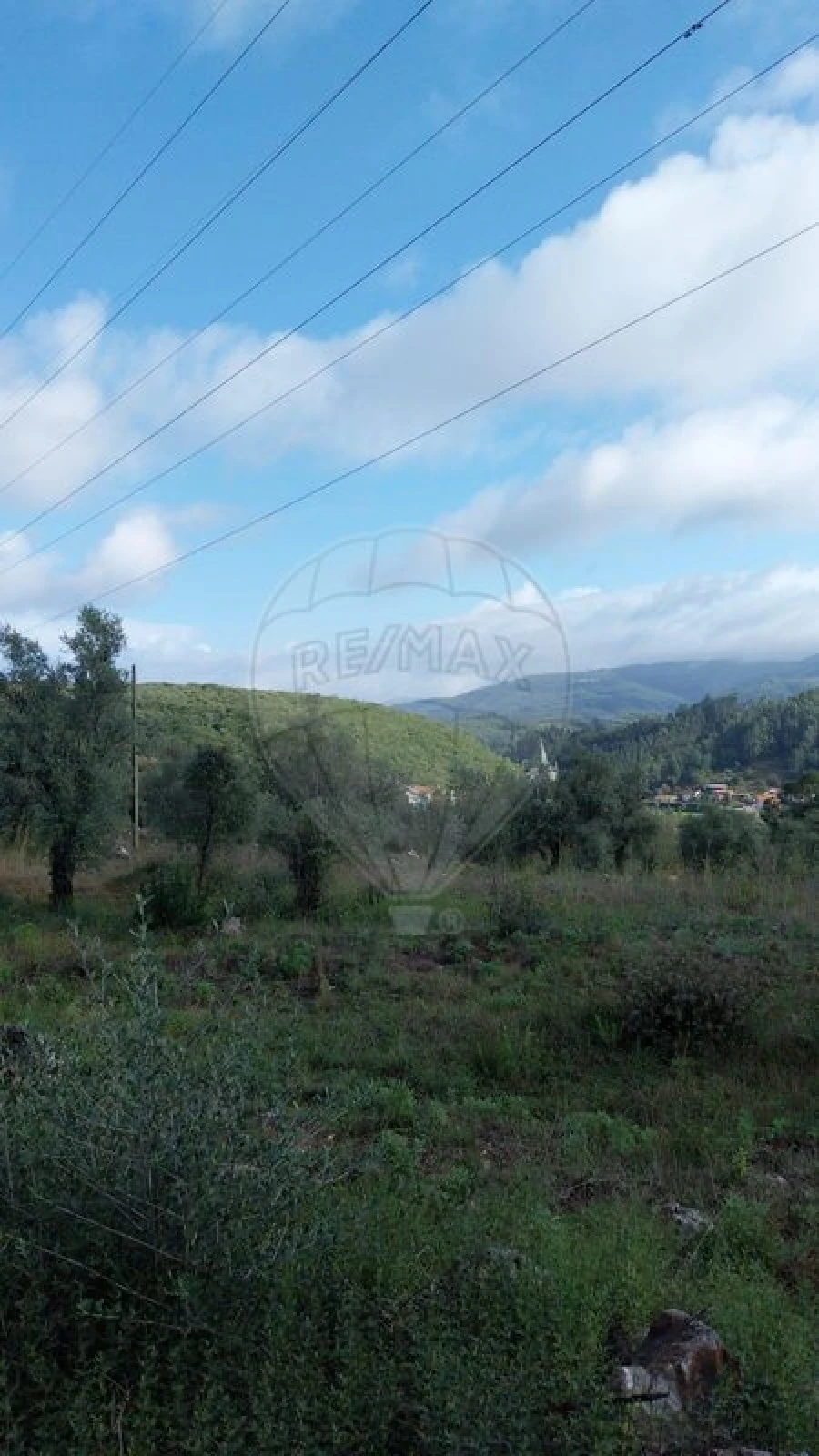 Terreno para Venda em São Miguel, Santa Eufémia e Rabaçal Foto 5