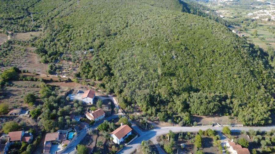 Terreno para Venda em São Miguel, Santa Eufémia e Rabaçal Foto 9