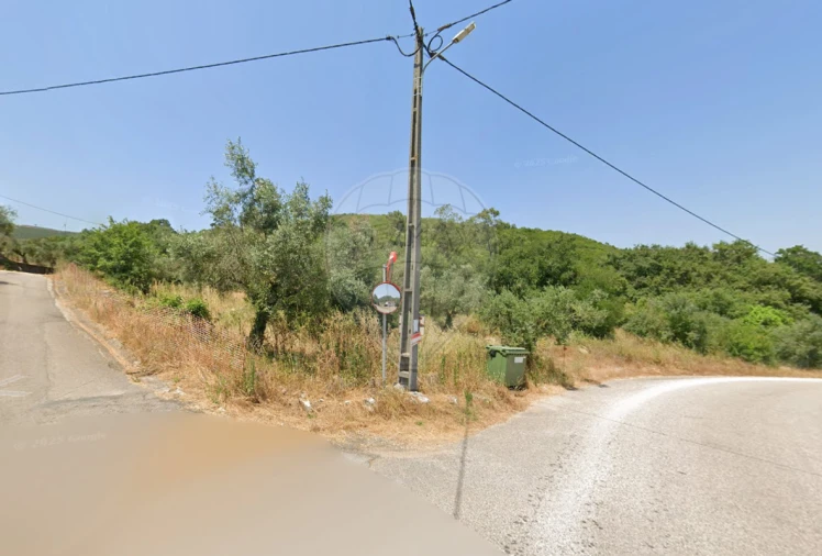 Terreno para Venda em São Miguel, Santa Eufémia e Rabaçal Foto 3