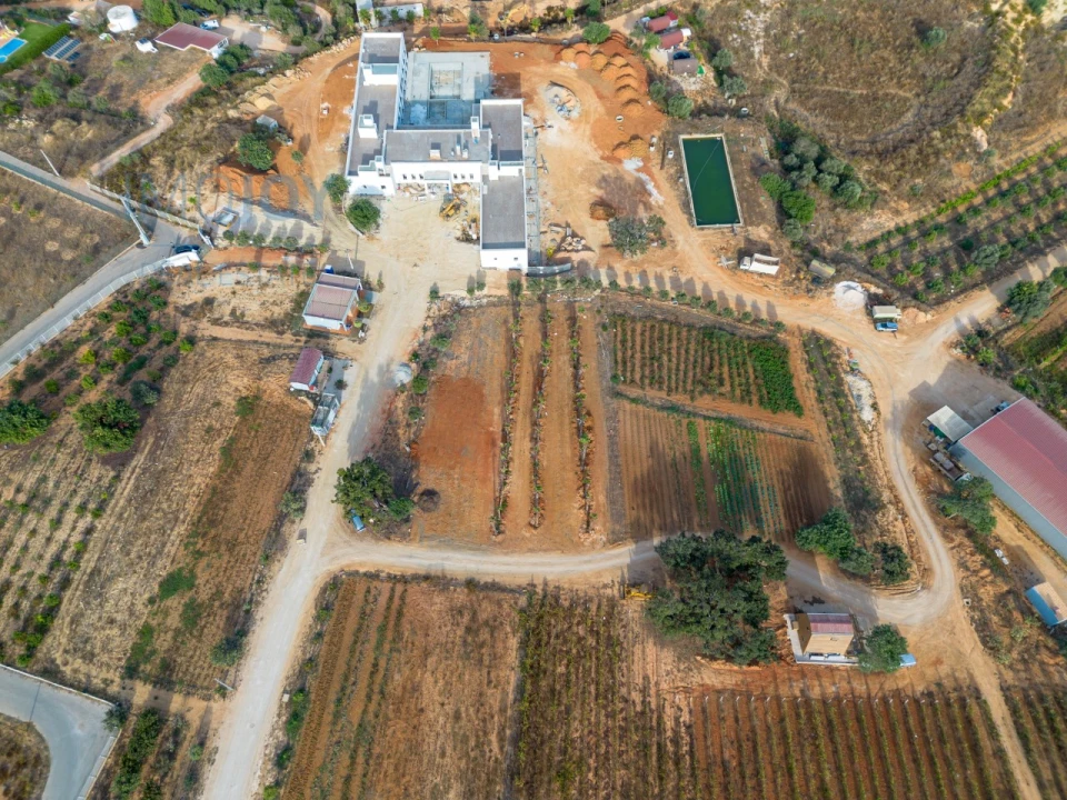 Negócio para Venda em Guia Foto 14