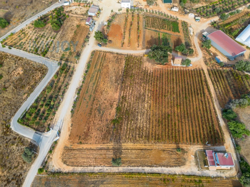 Negócio para Venda em Guia Foto 19