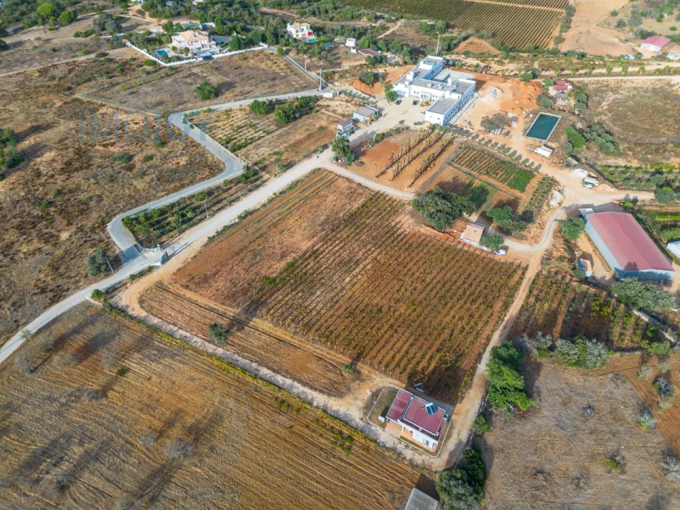 Negócio para Venda em Guia Foto 23