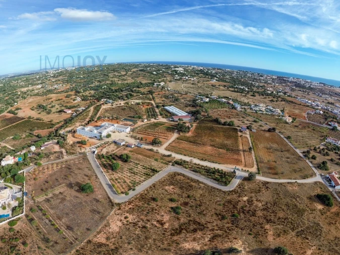 Negócio para Venda em Guia Foto 10