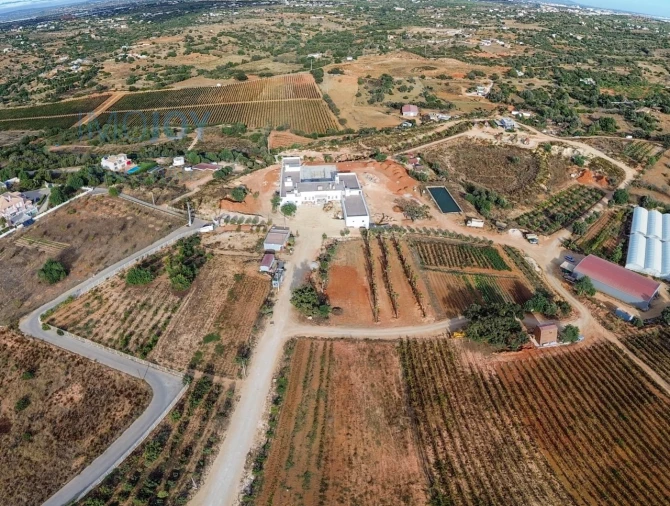 Negócio para Venda em Guia Foto 20