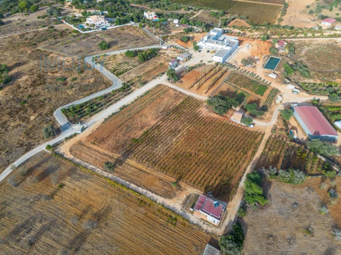 Negócio para Venda em Guia Foto 23
