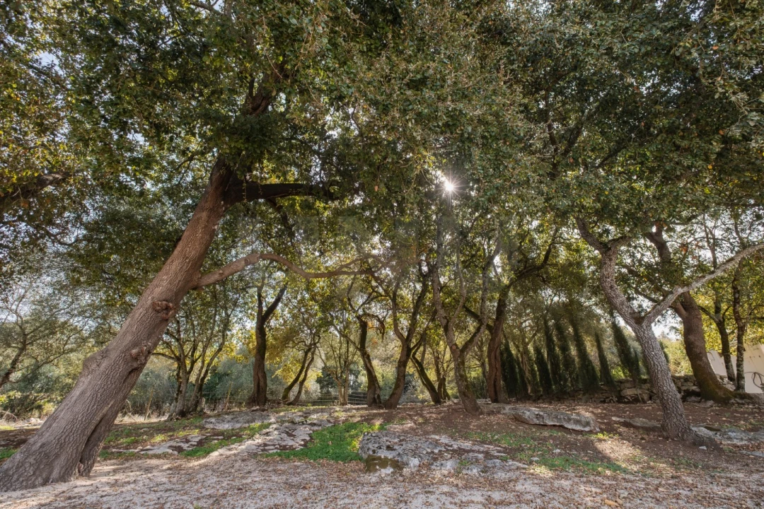 Moradia T3 para Venda em Turquel Foto 44