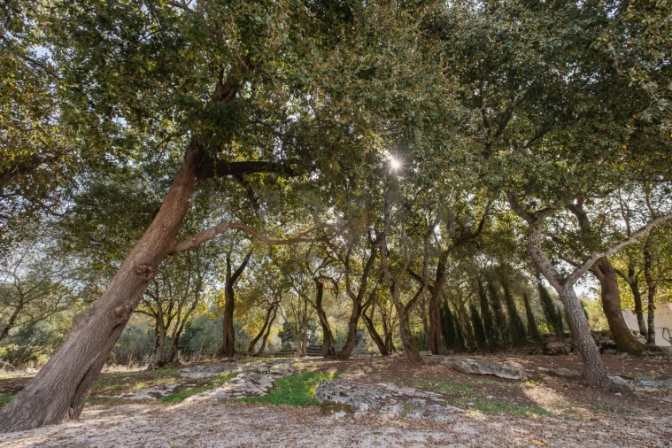 Moradia T3 para Venda em Turquel Foto 44