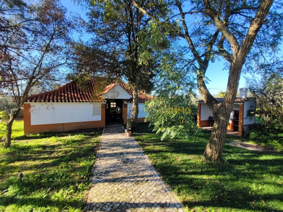 Moradia T4 para Venda em Paialvo Foto 36