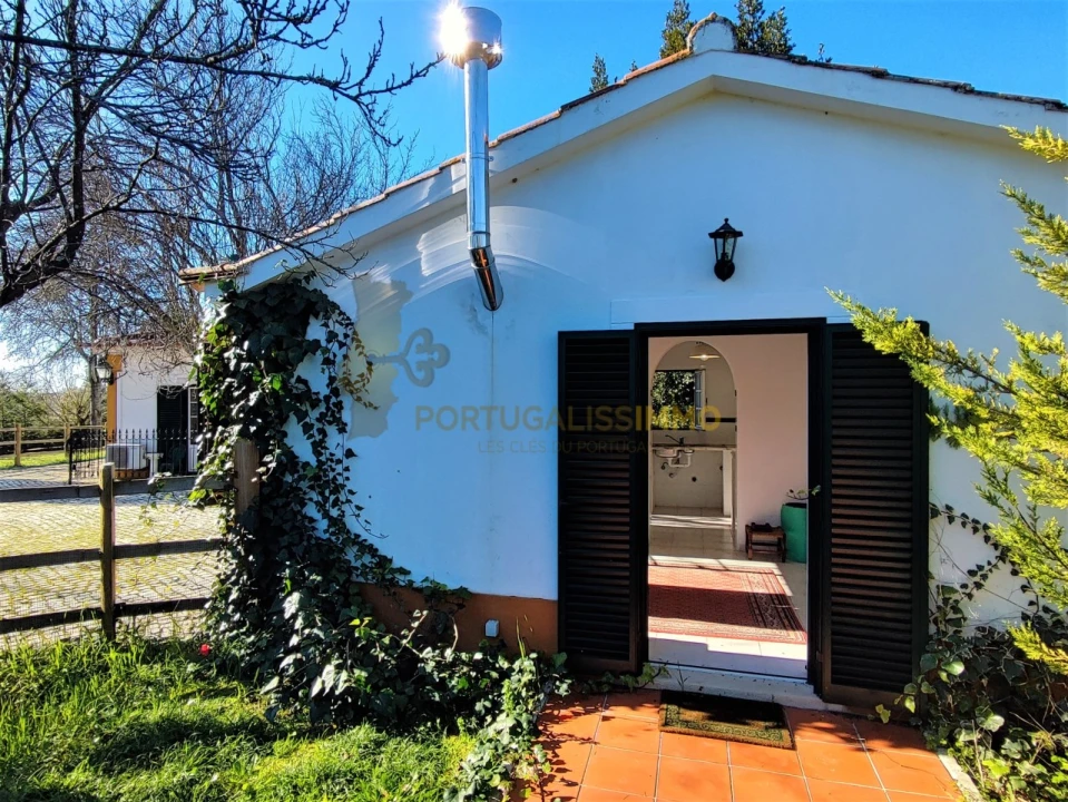 Moradia T4 para Venda em Paialvo Foto 50