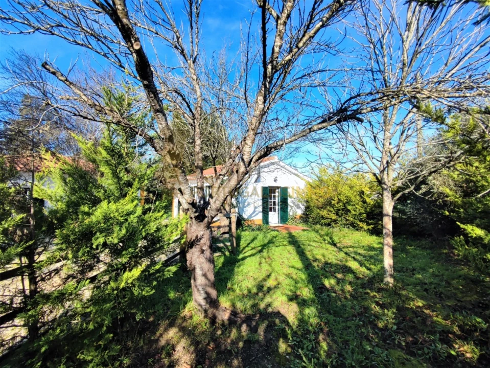 Moradia T4 para Venda em Paialvo Foto 51