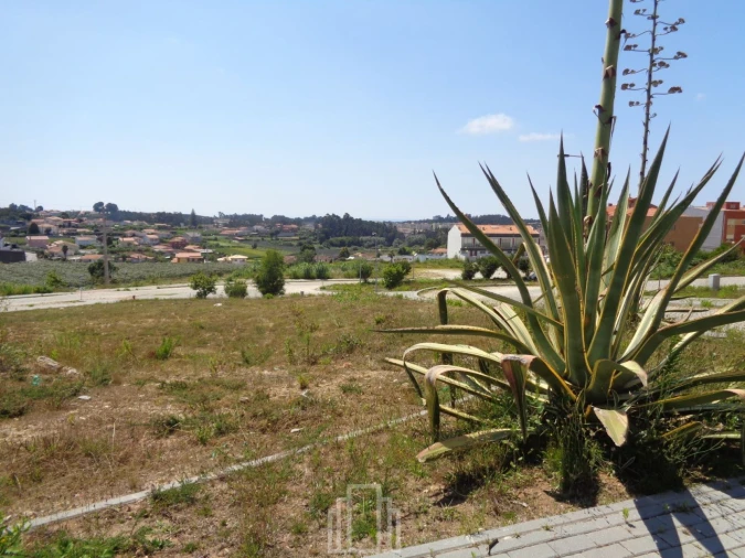 Terreno P/ Prédio para Venda em São João de Ver