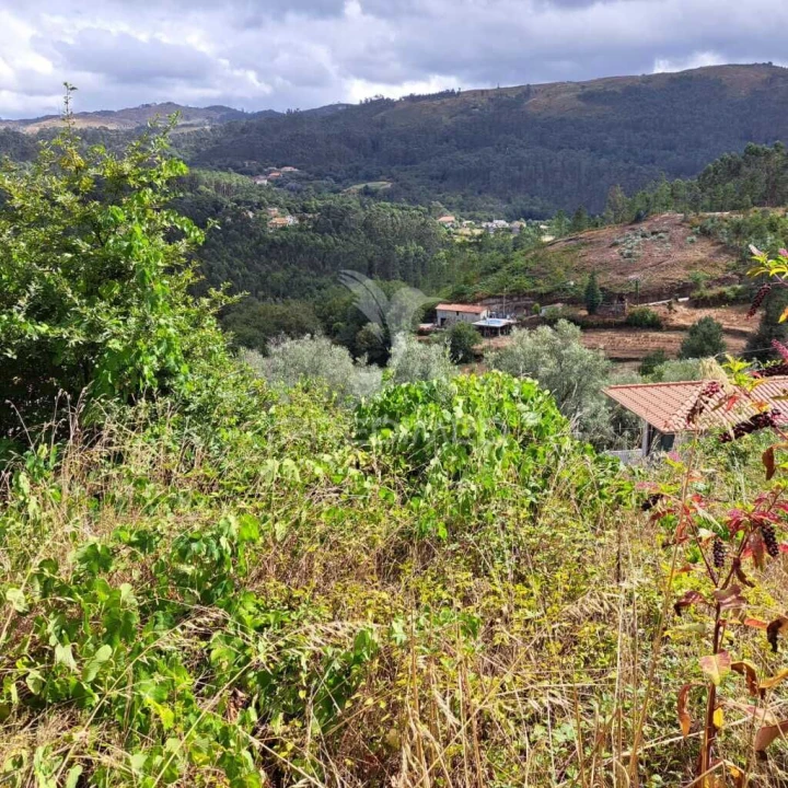 Apartamento para Venda em Rossas Foto 2