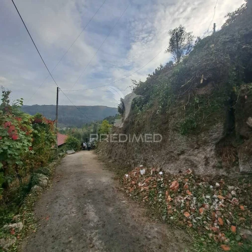 Apartamento para Venda em Rossas Foto 5