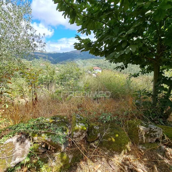 Apartamento para Venda em Rossas Foto 1