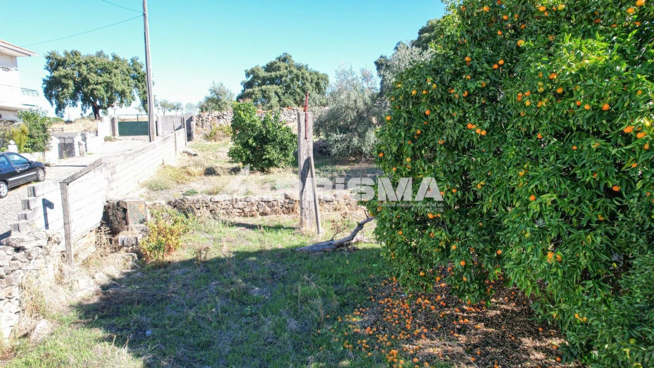 Terreno para Venda em Alcains Foto 11