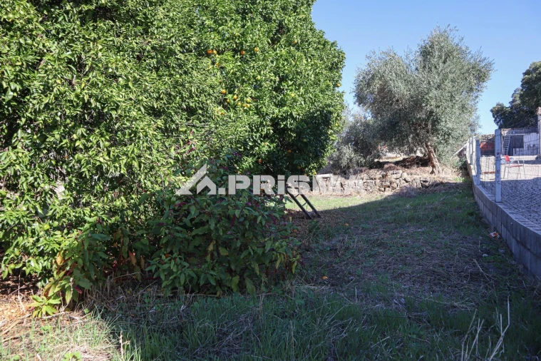 Terreno para Venda em Alcains Foto 15