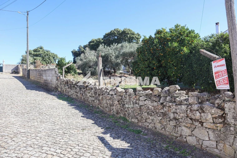 Terreno para Venda em Alcains Foto 16