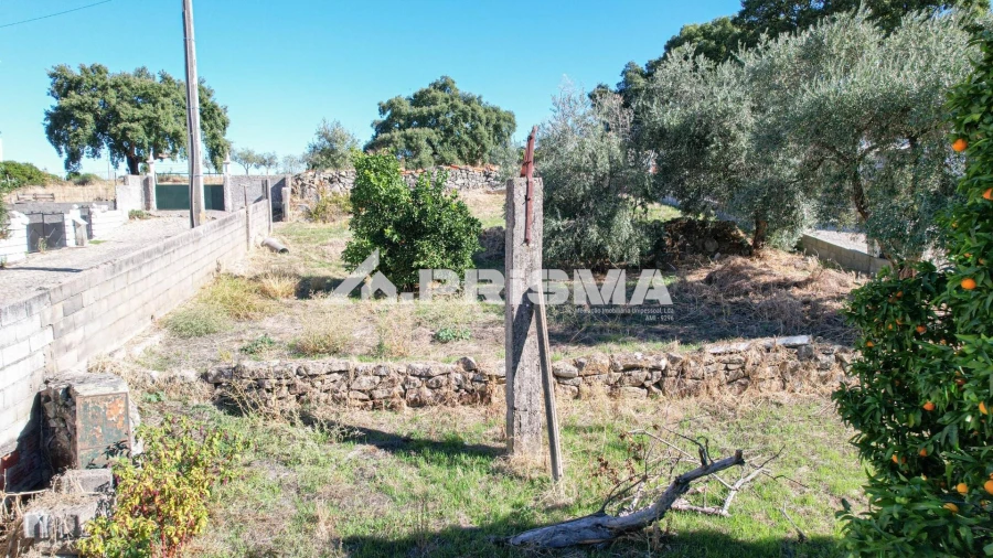 Terreno para Venda em Alcains Foto 13