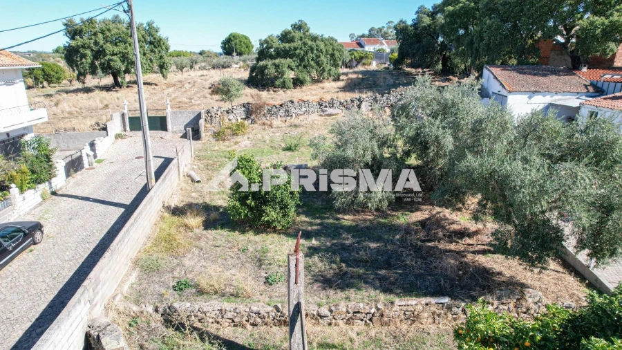 Terreno para Venda em Alcains Foto 9