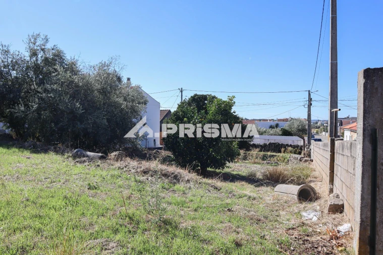 Terreno para Venda em Alcains Foto 8