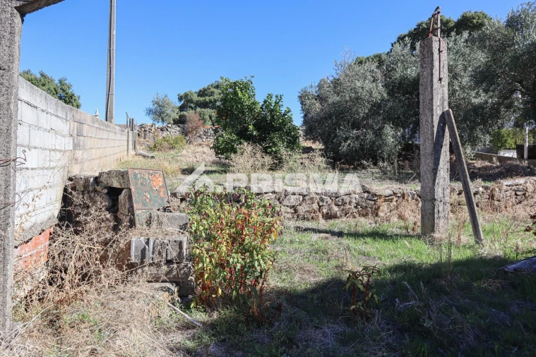 Terreno para Venda em Alcains Foto 14