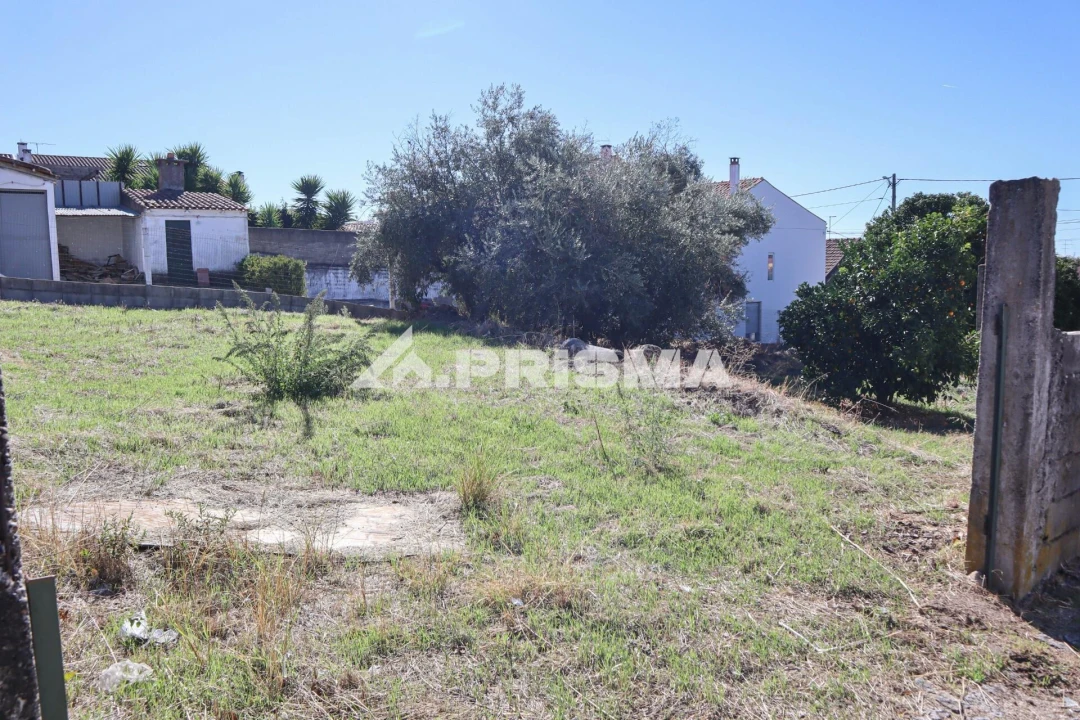 Terreno para Venda em Alcains Foto 6
