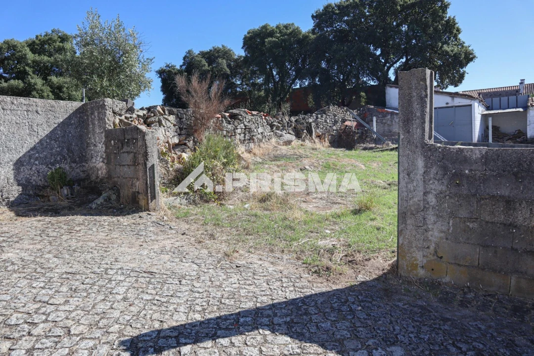Terreno para Venda em Alcains Foto 5