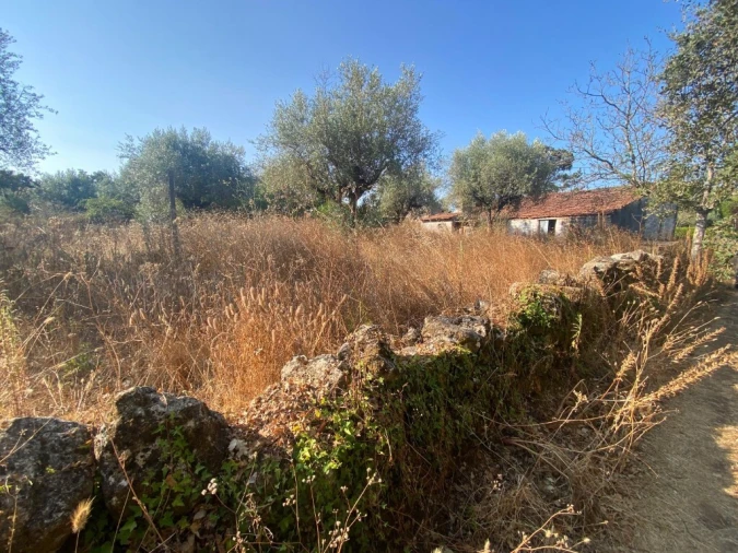 Moradia T2 para Venda em Nossa Senhora do Pranto Foto 5