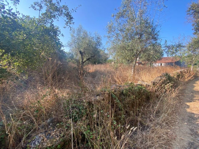 Moradia T2 para Venda em Nossa Senhora do Pranto Foto 6