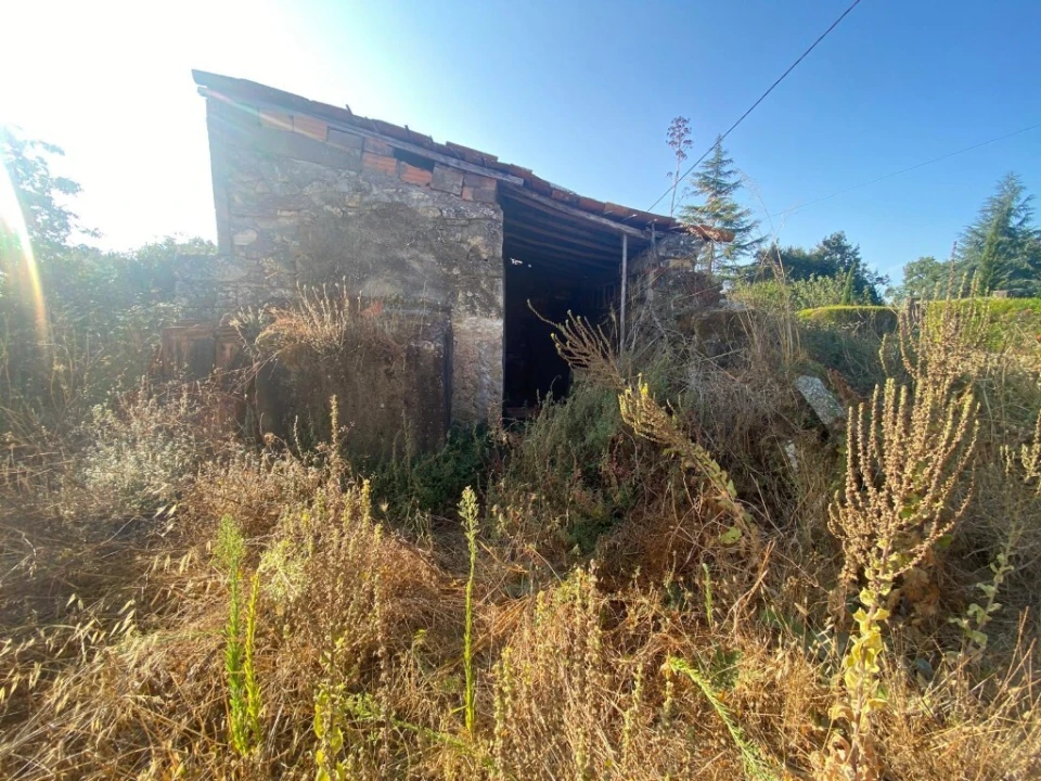 Moradia T2 para Venda em Nossa Senhora do Pranto Foto 7