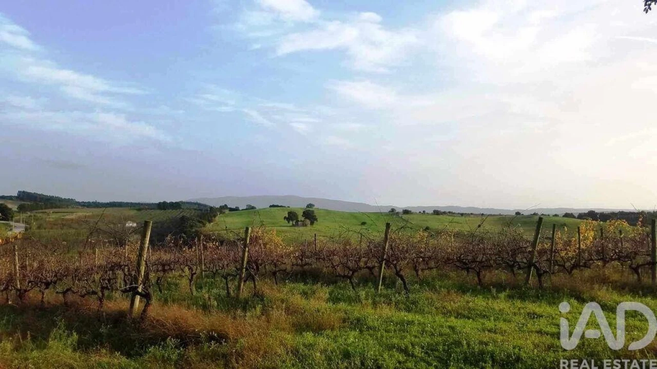 Terreno para Venda em Carvalhal Foto 2