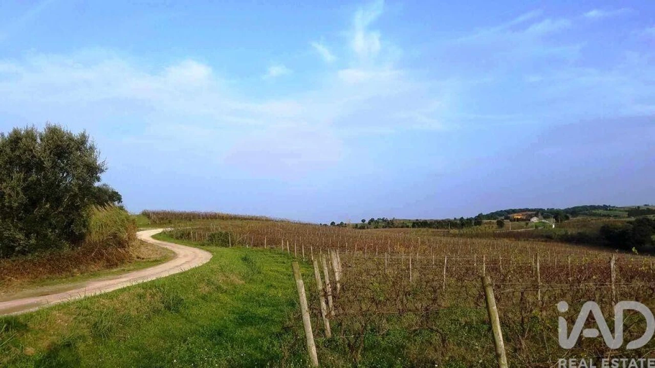 Terreno para Venda em Carvalhal Foto 10