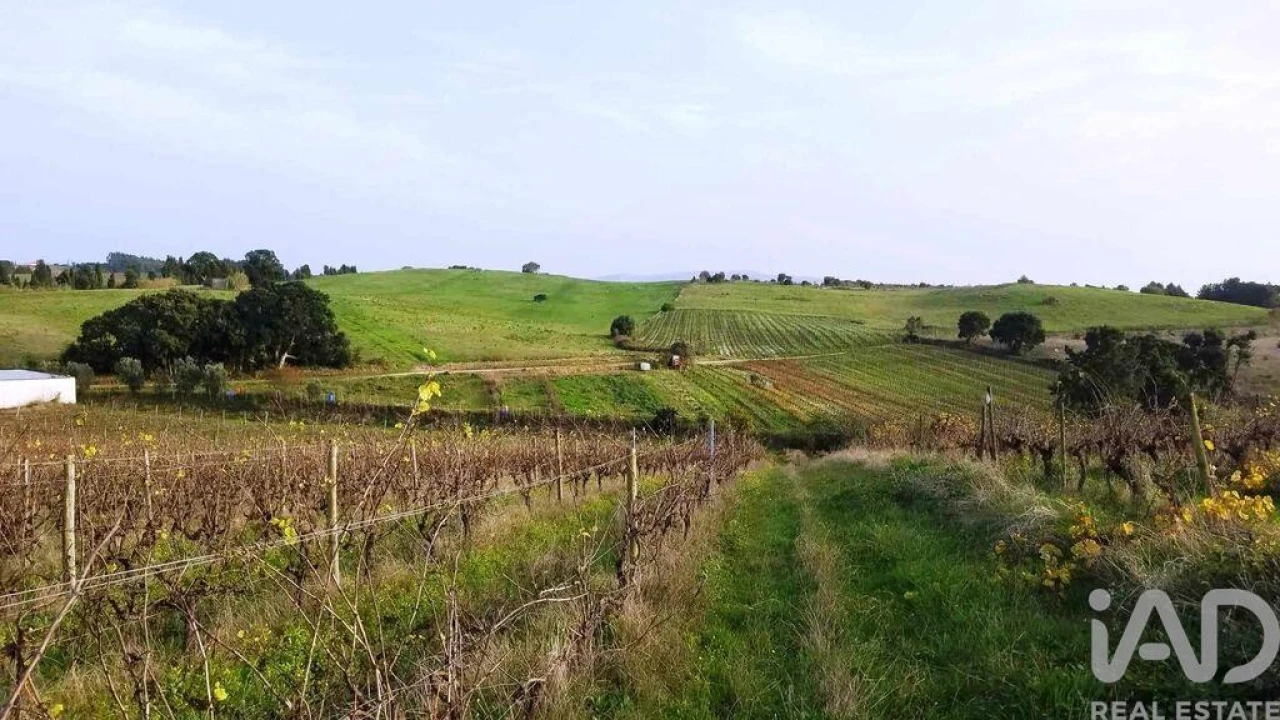 Terreno para Venda em Carvalhal Foto 5
