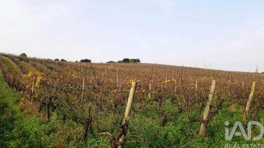 Terreno para Venda em Carvalhal Foto 8