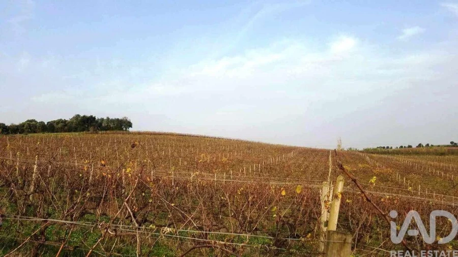 Terreno para Venda em Carvalhal Foto 11