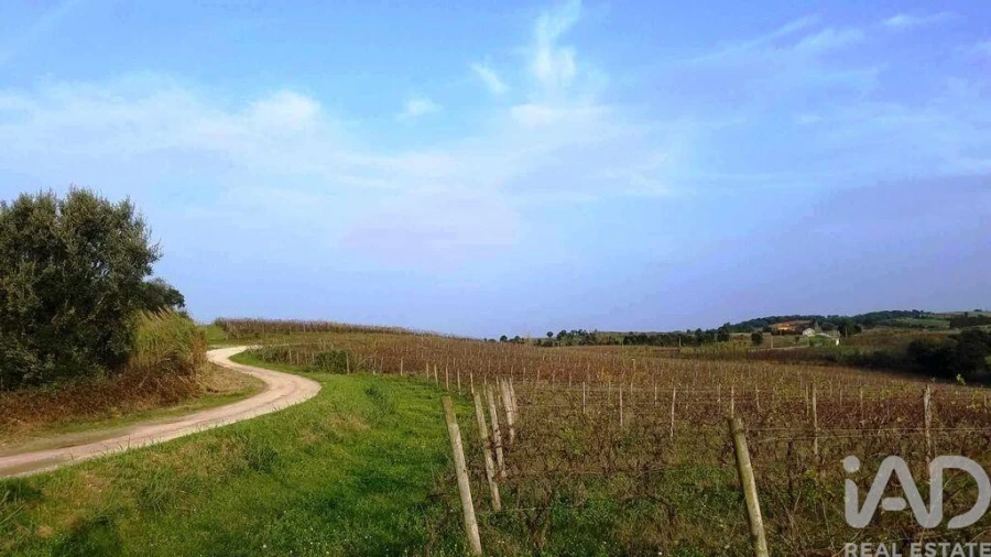 Terreno para Venda em Carvalhal Foto 10