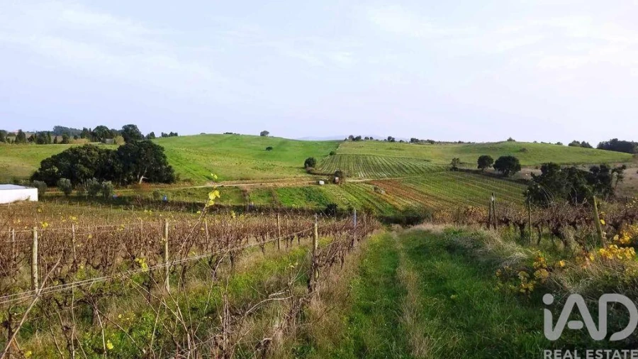 Terreno para Venda em Carvalhal Foto 5
