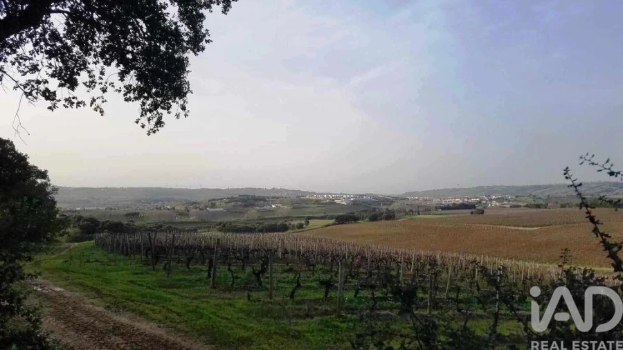 Terreno para Venda em Carvalhal Foto 12