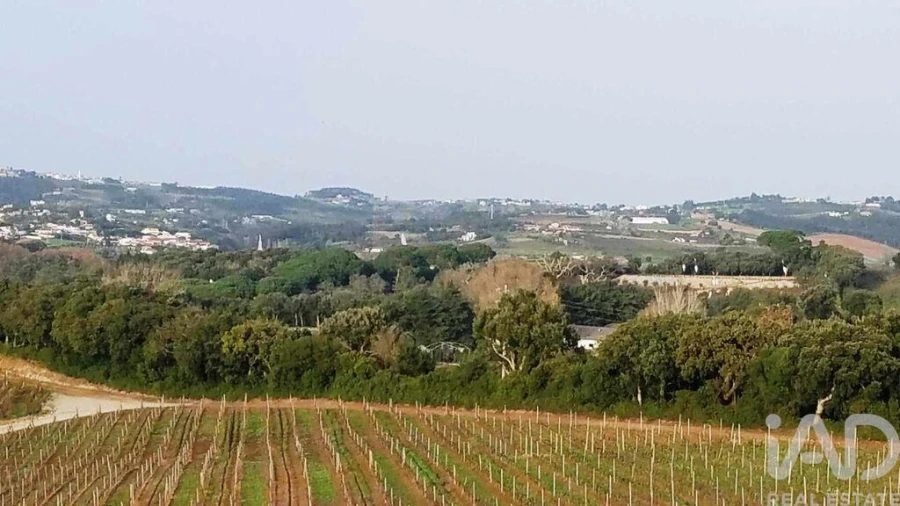 Terreno para Venda em Carvalhal Foto 14