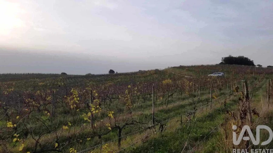 Terreno para Venda em Carvalhal Foto 3