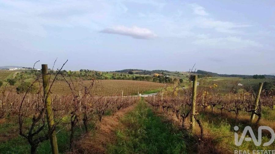 Terreno para Venda em Carvalhal Foto 6