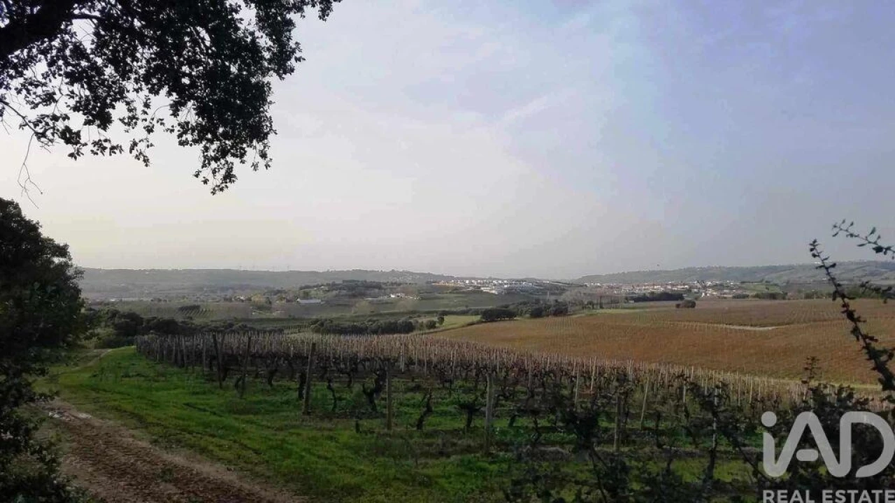 Terreno para Venda em Carvalhal Foto 12