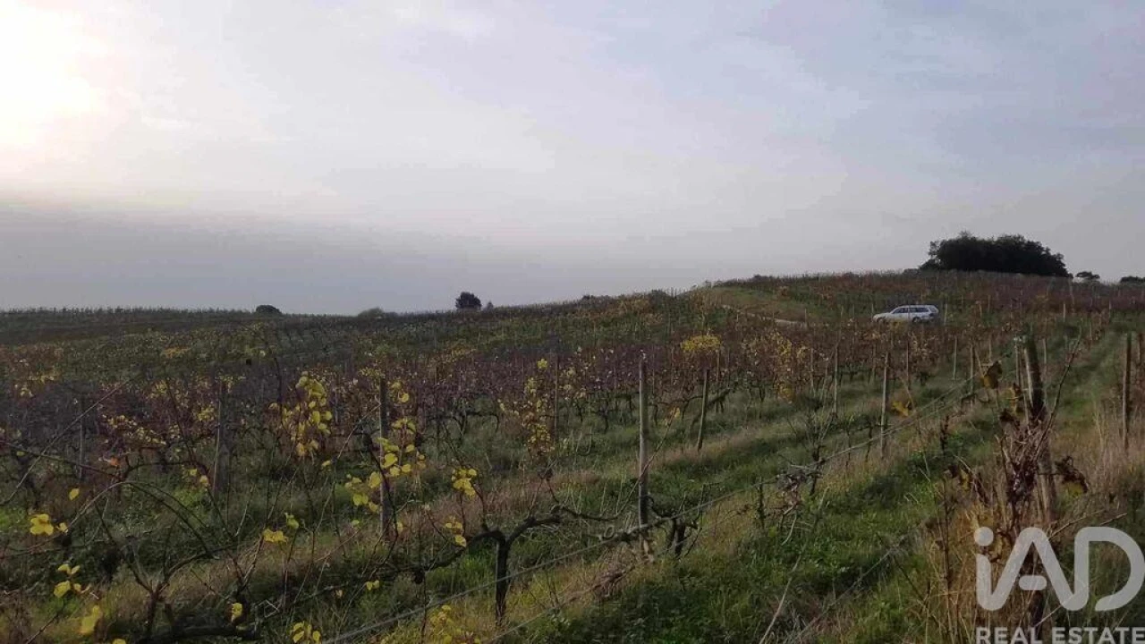 Terreno para Venda em Carvalhal Foto 3