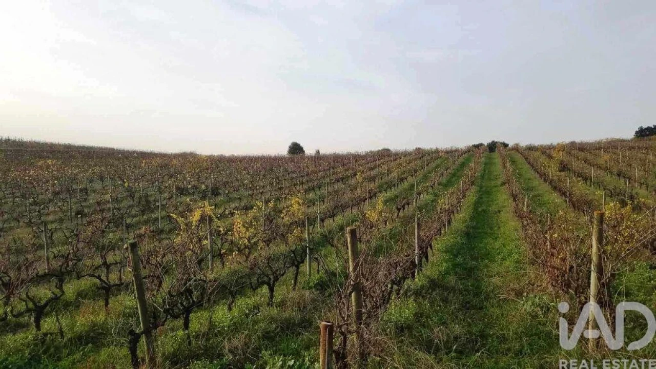 Terreno para Venda em Carvalhal Foto 9